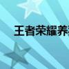 王者荣耀养猪流怎么破（养猪流怎么破）