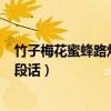 竹子梅花蜜蜂路灯写一段话150字（竹子梅花蜜蜂路灯写一段话）