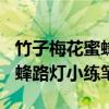 竹子梅花蜜蜂路灯小练笔300字（竹子梅花蜜蜂路灯小练笔）