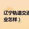 辽宁轨道交通技术学院就业（辽宁轨道学院就业怎样）