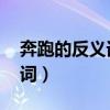 奔跑的反义词是什么 标准答案（奔跑的反义词）