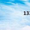 133是什么意思（133）