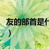 友的部首是什么偏旁怎么读（友的部首是什么）
