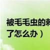 被毛毛虫的刺扎进皮肤怎么办（被毛毛虫刺到了怎么办）