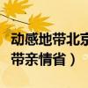 动感地带北京手机基础套餐介绍（北京动感地带亲情省）