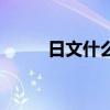 日文什么字体好看（日文什么字）