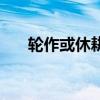 轮作或休耕对土壤有什么影响(轮作) 轮作或休耕对土壤有什么影响(轮作)