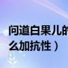 问道白果儿的抗性加点怎么加（问道白果儿怎么加抗性）