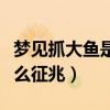 梦见抓大鱼是什么征兆解梦（梦见抓大鱼是什么征兆）