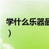 学什么乐器最简单最便宜（学什么乐器最简单）