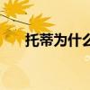 托蒂为什么退役（托蒂为何没人敢惹）