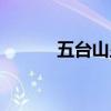 五台山显灵照片（五台山显灵）