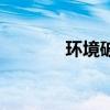 环境破坏的词语（环境破坏）