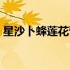 星沙卜蜂莲花营业时间（卜蜂莲花营业时间）