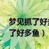 梦见抓了好多鱼虾是什么预兆 女性（梦见抓了好多鱼）