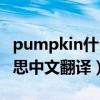 pumpkin什么意思英语（pumpkin是什么意思中文翻译）