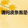 请问皮条客是什么生肖（皮条客是什么生肖）