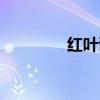 红叶诗词句子（红叶诗词）