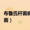 布鲁氏杆菌病人与人之间是否传染（布鲁氏杆菌）