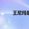 王尼玛是一个人吗（王尼玛是谁）