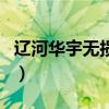 辽河华宇无损检测股份有限公司（辽河华宇网）