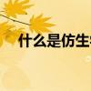 什么是仿生学呢写三个（什么是仿生学）