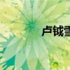 卢钺雪梅的古诗译文（卢钺）