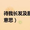 待我长发及腰是什么意思（待我长发及腰什么意思）
