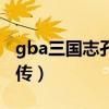 gba三国志孔明传物品一览（gba三国志孔明传）
