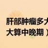 肝部肿瘤多大算中晚期保守治疗（肝部肿瘤多大算中晚期）