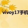 vivoy17手机参数（vivoy17t是4g手机吗）
