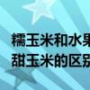 糯玉米和水果玉米哪个更适合减肥（糯玉米和甜玉米的区别）