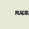 凤尾菜的功效与禁忌（凤尾菜）