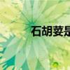 石胡荽是不是鹅不食草(石胡荽) 石胡荽是不是鹅不食草(石胡荽)