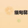 缅甸翡翠值钱吗（翡翠值钱吗）