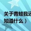关于青蛙我还知道什么一年级（关于青蛙我还知道什么）