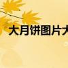 大月饼图片大全大图简笔画（大月饼图片）