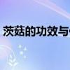 茨菇的功效与作用图片（茨菇的功效与作用）