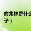 俞兆林是什么牌子内衣文胸（俞兆林是什么牌子）