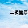 二极管原理作用图解（二极管原理）