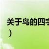 关于鸟的四字词语100个（关于鸟的四字词语）