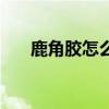 鹿角胶怎么吃效果好（鹿角胶怎么吃）