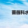 蔷薇科水果有哪些15种（蔷薇科）