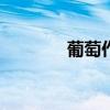 葡萄作文600字（葡萄作文）
