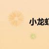 小龙虾饲养方法（养小龙虾）
