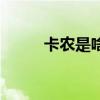 卡农是啥意思（卡农是什么意思）