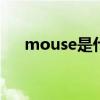 mouse是什么意思（frog是什么意思）