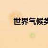 世界气候类型及特征（世界气候类型）
