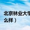 北京林业大学怎么样好不好（北京林业大学怎么样）