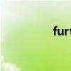 further翻译（further）